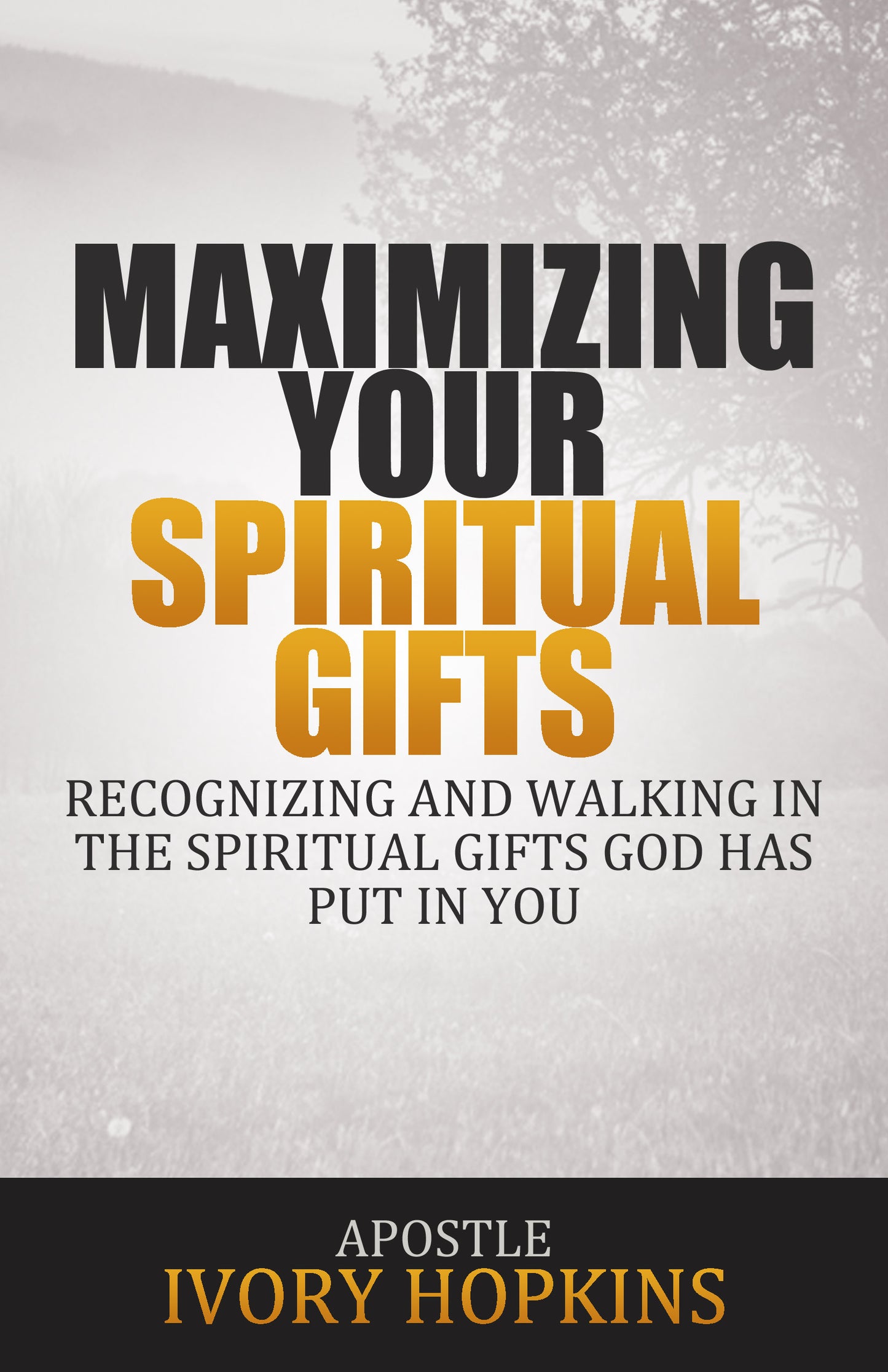 Maximizing Your Spiritual Gifts